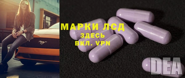 спайс Аркадак