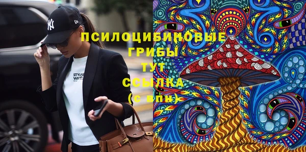 прущая мука Арсеньев