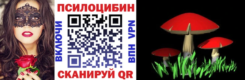 Галлюциногенные грибы Magic Shrooms  цены наркотик  Спасск-Дальний 